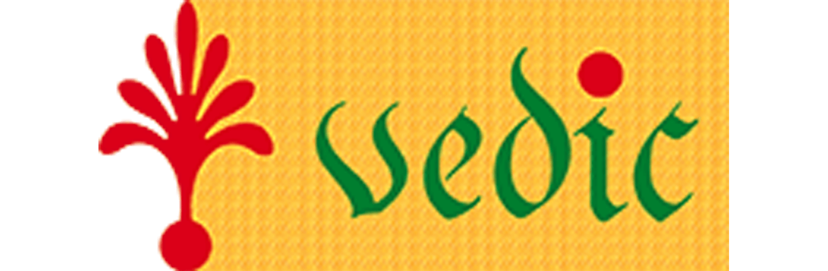 Vedic Fashion